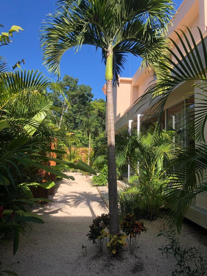 11Br I Hacienda Zalama Tulum Esterno foto